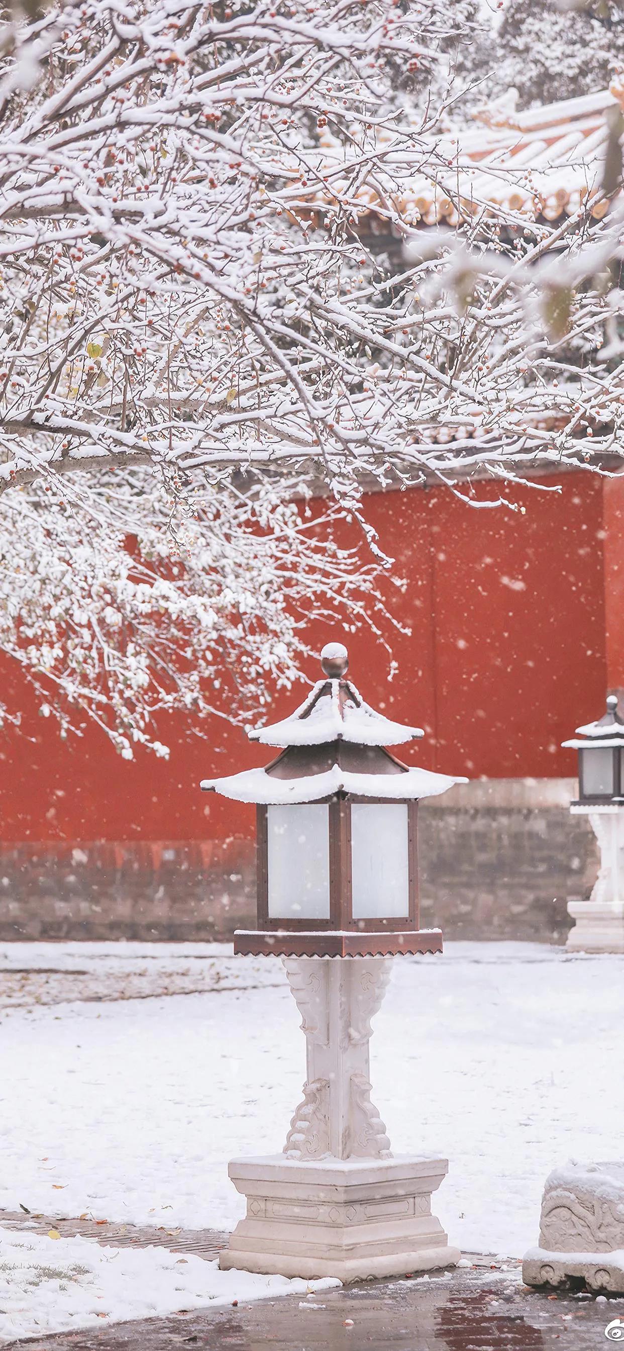 北京故宫雪景图片2020图片